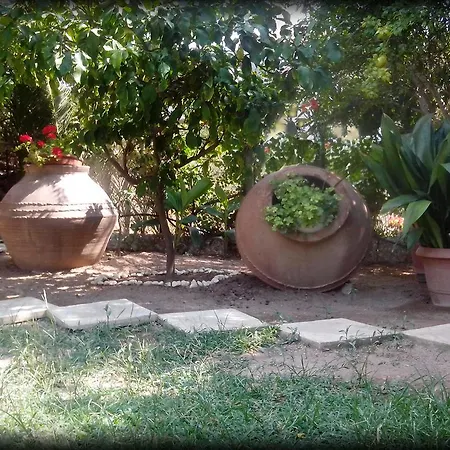 Aparthotel Araliki & 3*