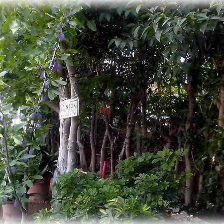 Araliki & 3* Loutra Edipsou (Evia)